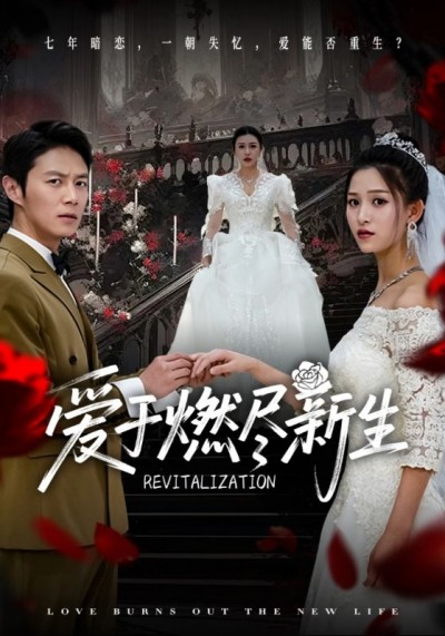 短剧《爱于燃尽新生》 短剧全集免费在线观看，高清画质，大结局揭晓