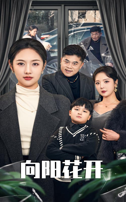 《溺爱的代价&amp;向阳花开》短剧高清全集免费在线观看播放完整版  第1张