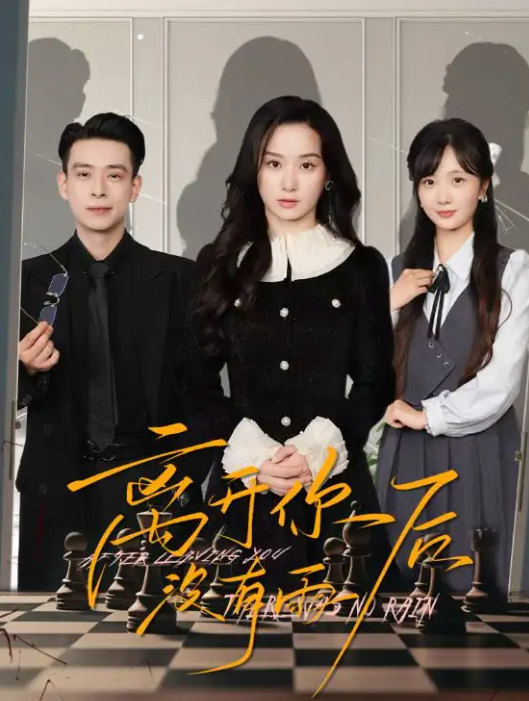 短剧《离开你后没有雨》 全集免费在线，高清画质，大结局震撼揭晓  第1张