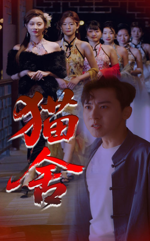 短剧《猫舍》 免费观看高清全集，大结局震撼来袭  第1张