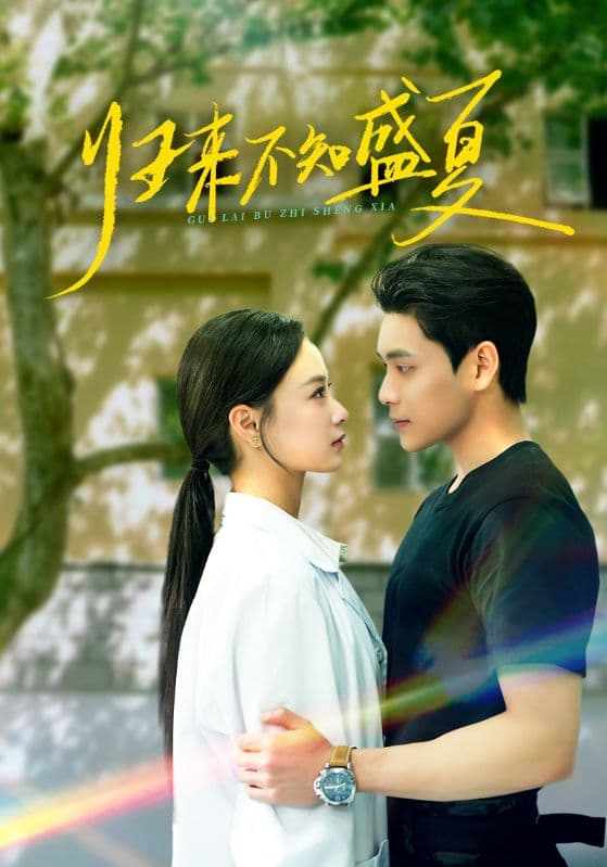 短剧《归来不知盛夏》 高清短剧全集在线免费，完整版无障碍欣赏  第1张
