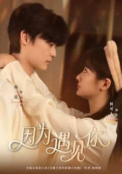 热门短剧因为遇见你全集完整版已完结，免费在线观看未删减，百度网盘、夸克网盘免费资源分享下载。